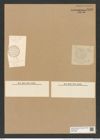 Liradiscus capensis Cleve (de-Toni-Nr.: Genus 192, Species 4731) Zeichnungen Sammlung Grunow Nr. 8376 (NHMW-BOT-W0377800)